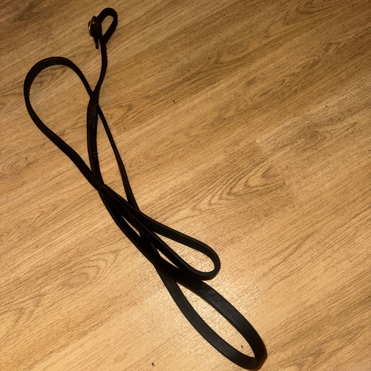 English Leather Fine Inhand Show Lead #7