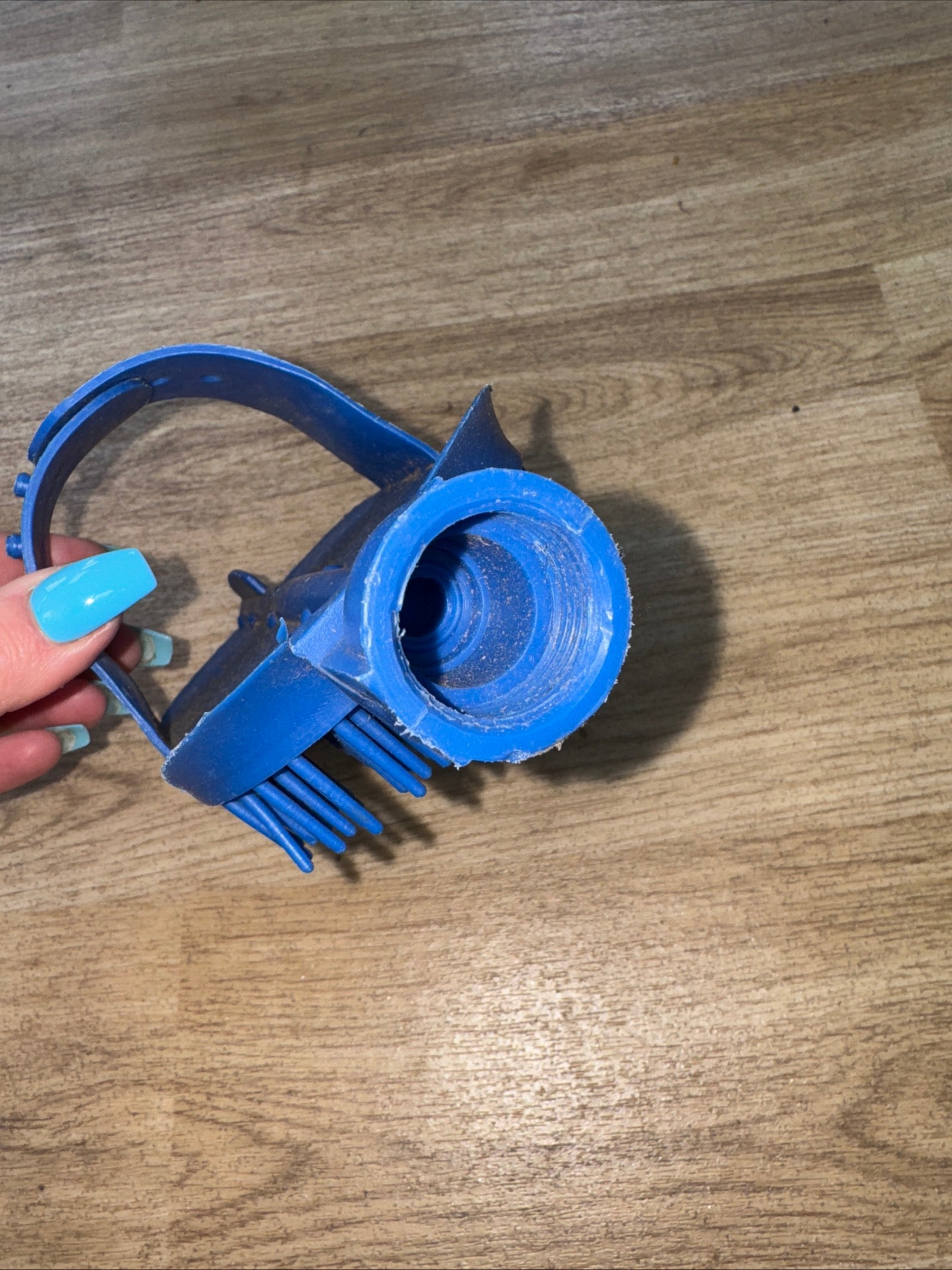 Plastic Curry Brush - Hose Wash Down
