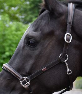 Rhinegold Rocco Italia Verona Leather Headcollar