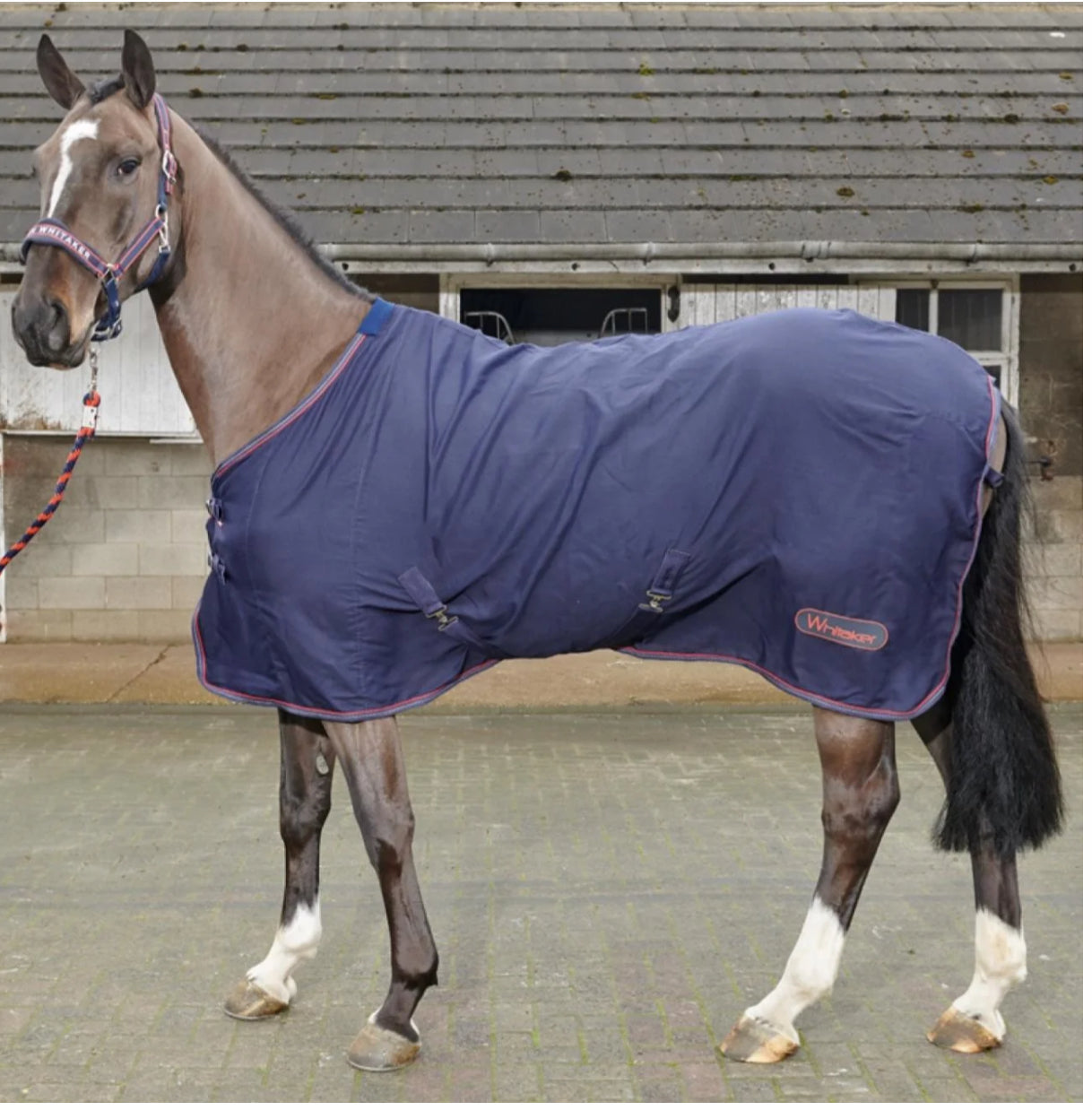 WHITAKER RASTRICK MULTIPURPOSE SHEET RUG