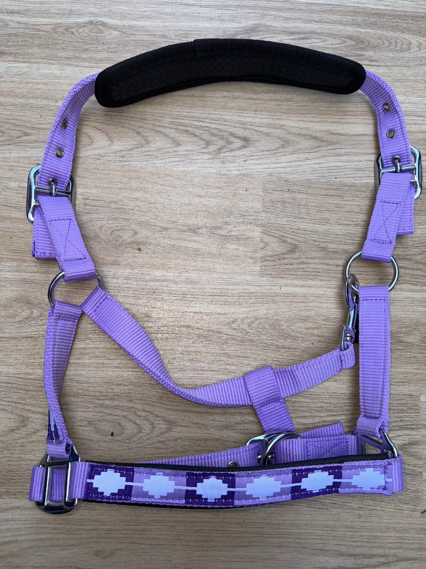 Polo Purple Headcollar