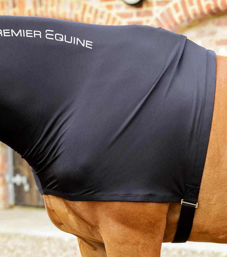 Premier Equine Lycra Hood