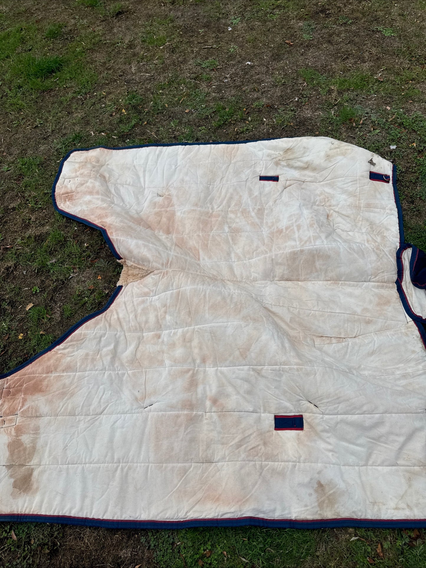 World Beater 300gm 6ft Stable Rug