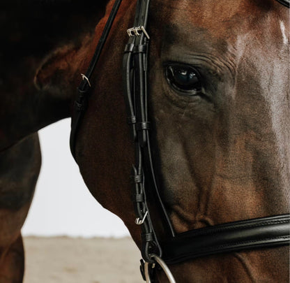 Decathlon Comfort Bling Bridle | Cob Size