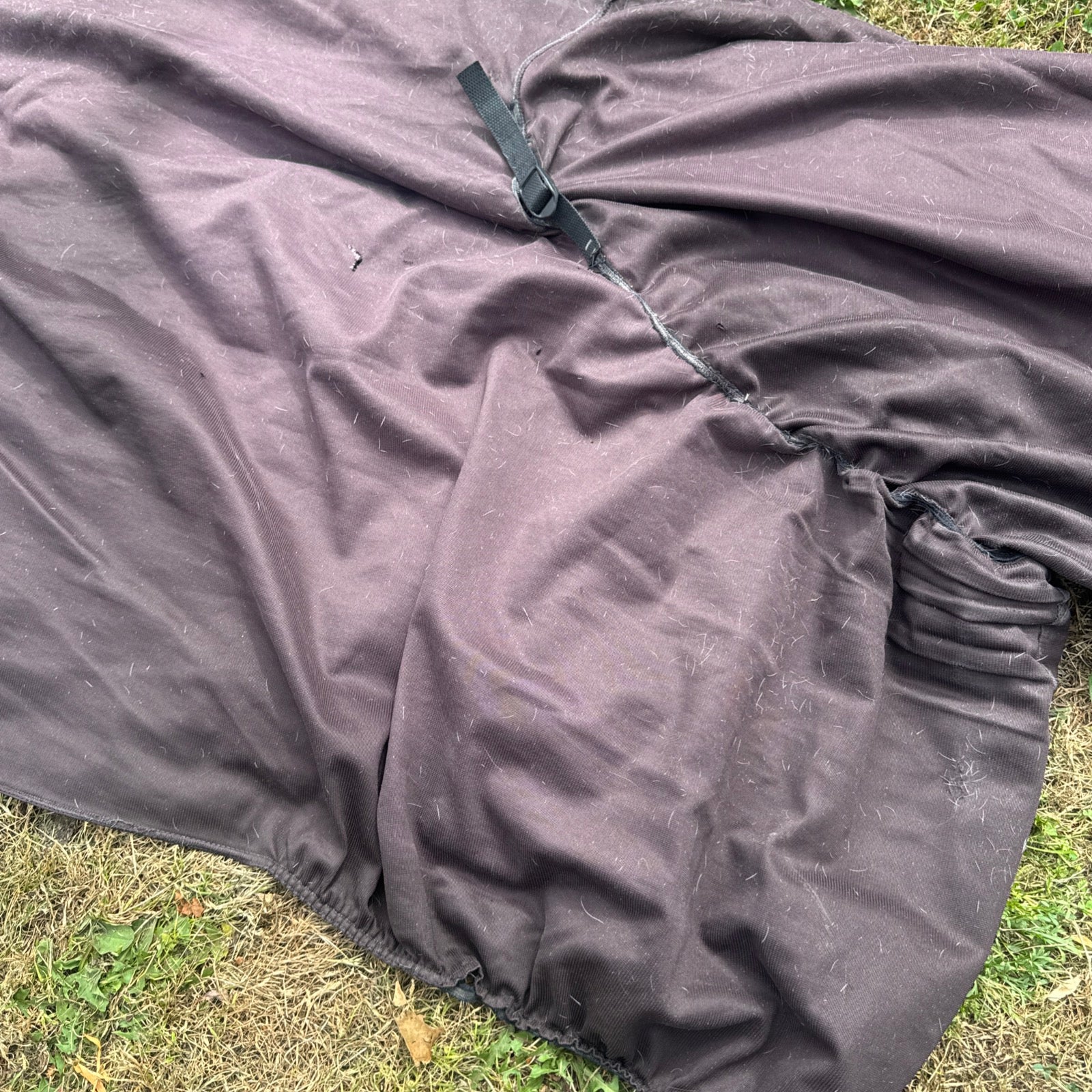 Boett Sweetitch Rug Size 6 With Hood Face