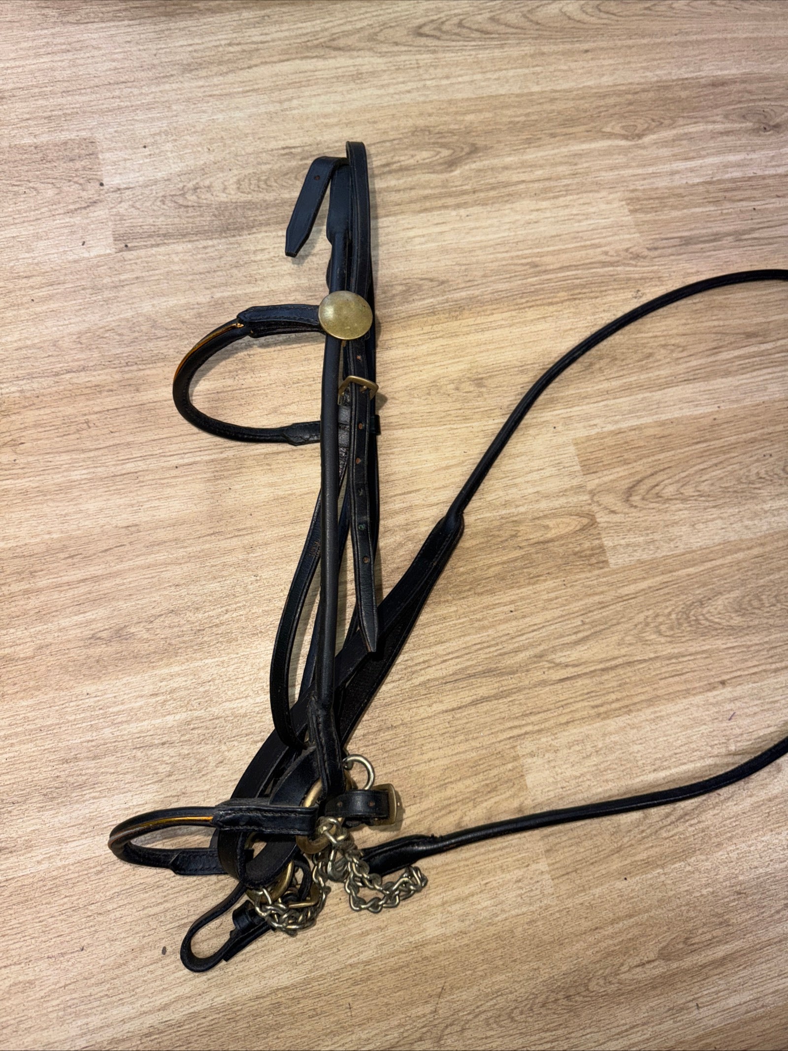 Fine Arab Inhand Bridle - Black Rolled Leather - Free Postage