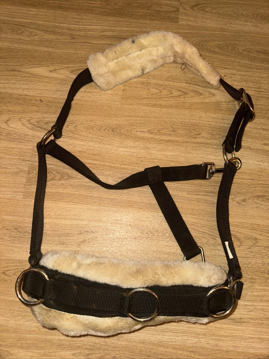 Full Size Fluffy Lined Lunging Cavesson - Free Postage
