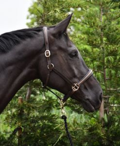Rhinegold Rocco Italia Verona Leather Headcollar