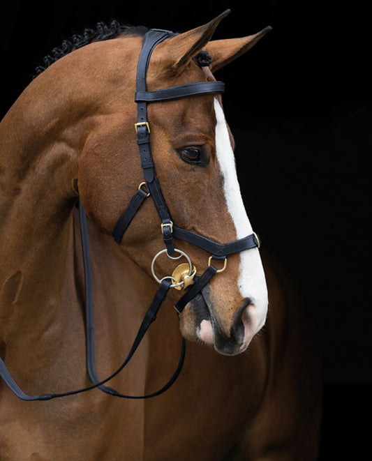 Horseware Rambo Micklem Multi Bridle - Black