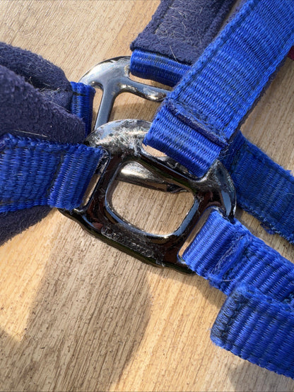 Lemieux Benneton Blue Headcollar  | Size Pony