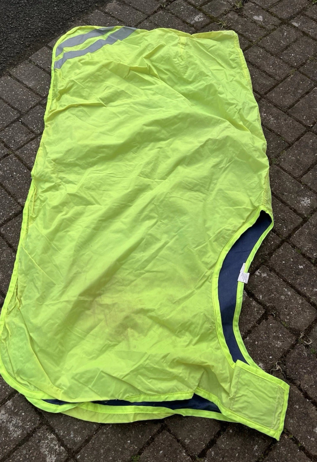 Luna Rider Full Size  Hi Viz Exercise Sheet