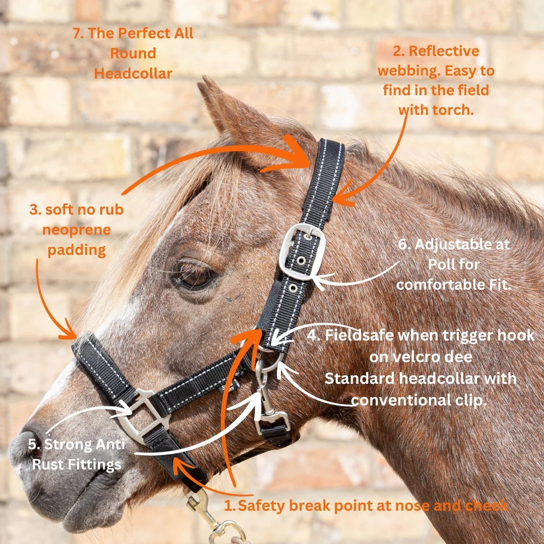 Cameo Field Safe Headcollar