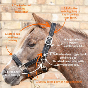 Cameo Field Safe Headcollar