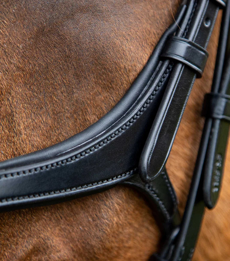 Premier Equine Glorioso Grackle Bridle