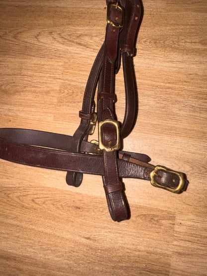 Shires Size Cob Brown Inhand Bridle #10 Showing Show Flat Noseband Hunter