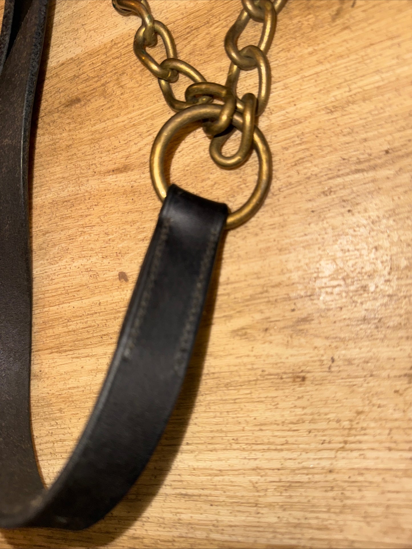 English Leather Black Inhand Showing Lead And Coupling #1 Show Horse Cob