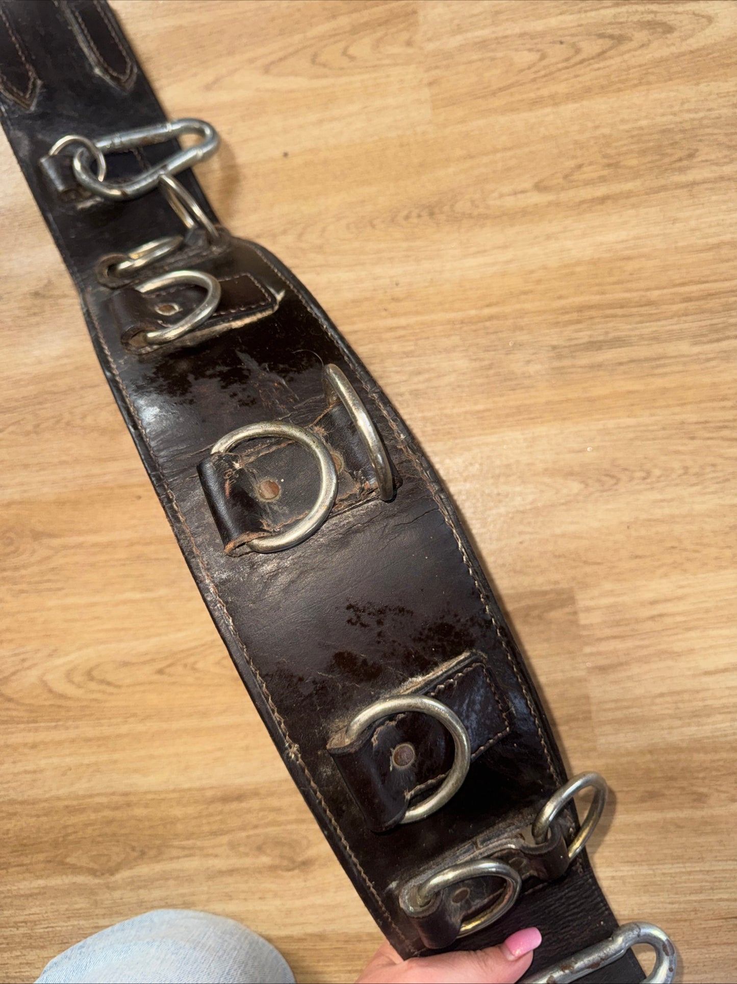 Leather Sturdy Training Lunging Roller Pony Cob Full Horse