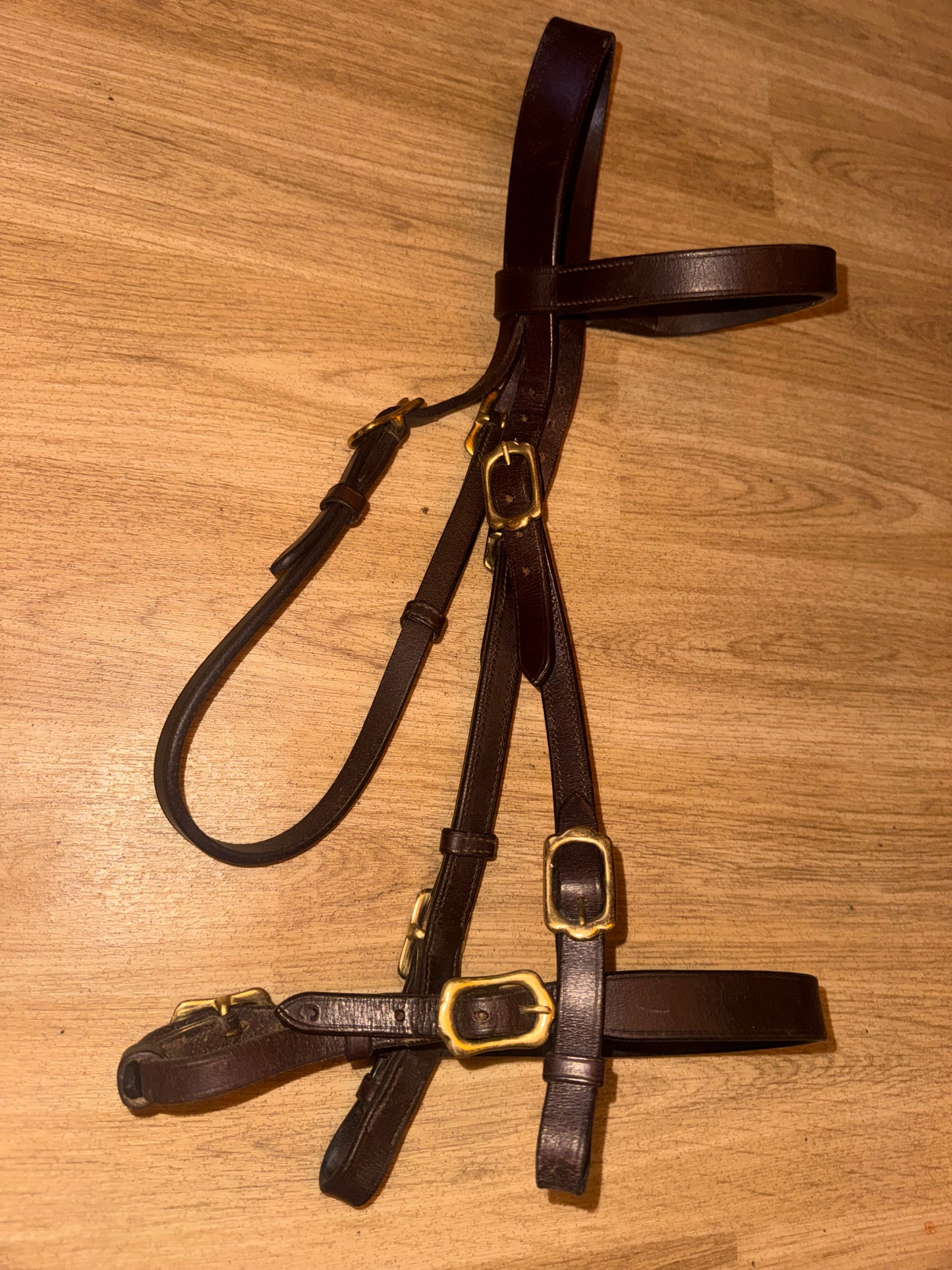 Shires Size Cob Brown Inhand Bridle #10 Showing Show Flat Noseband Hunter