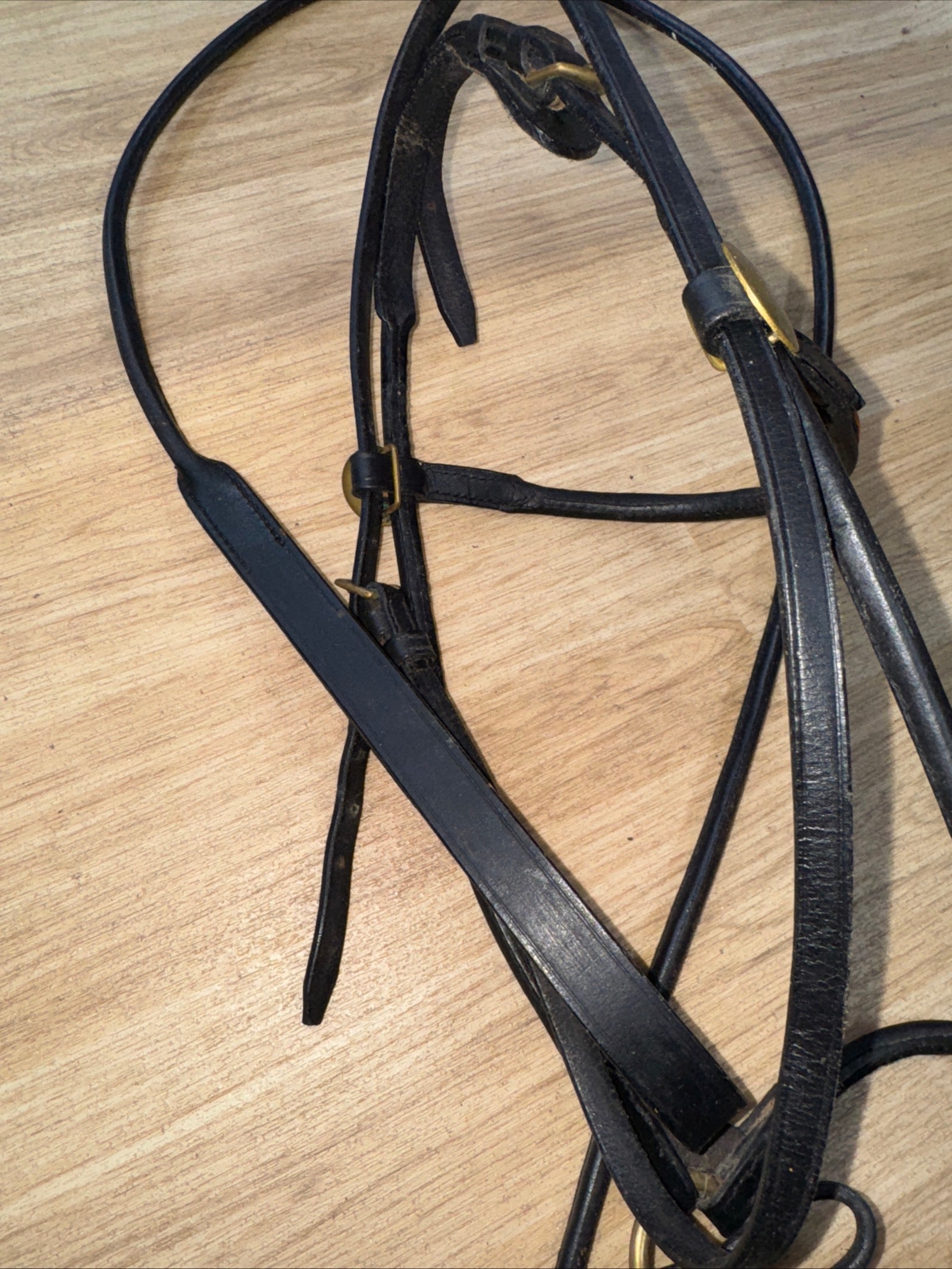Fine Arab Inhand Bridle - Black Rolled Leather - Free Postage