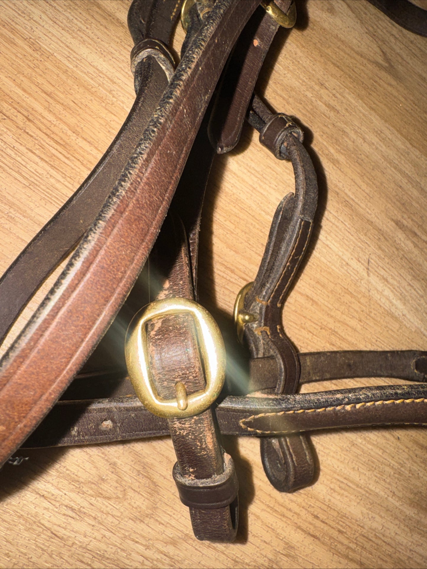 Heritage English Leather Inhand Bridle – Pony Size Havana | Showing & In-Hand Bridle
 #91