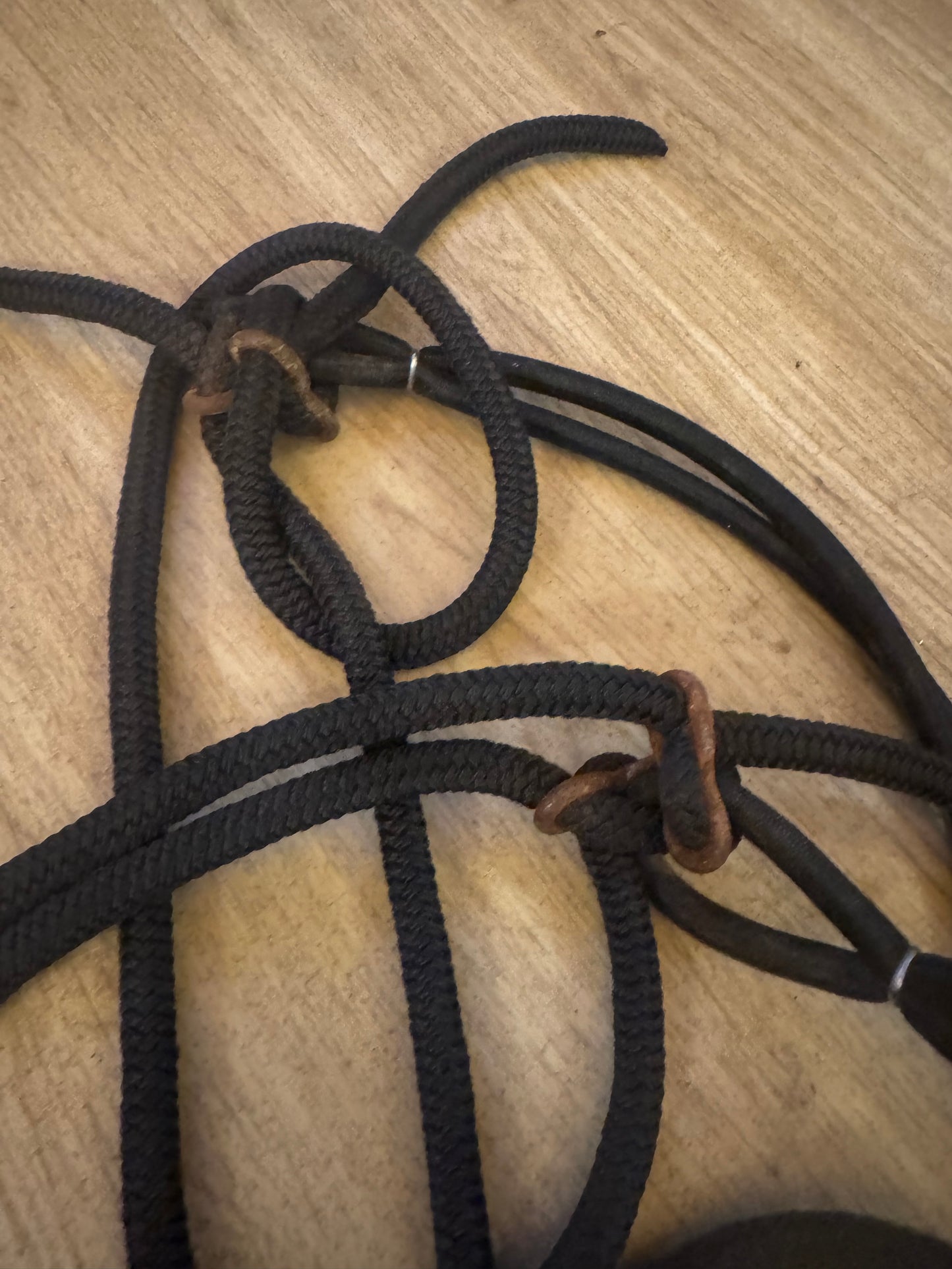 Passoa Style Black Training Aid | Lunging Horse Second Hand Tack