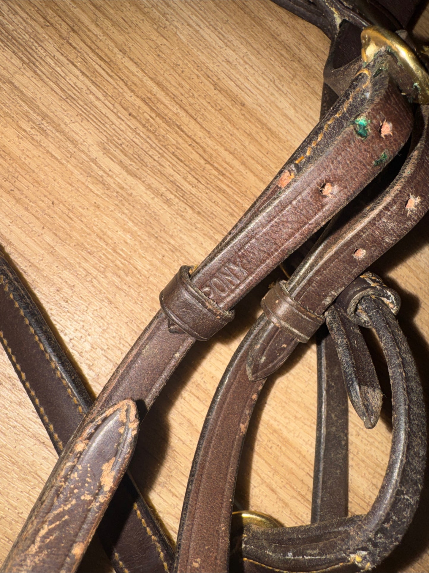Heritage English Leather Inhand Bridle – Pony Size Havana | Showing & In-Hand Bridle
 #91
