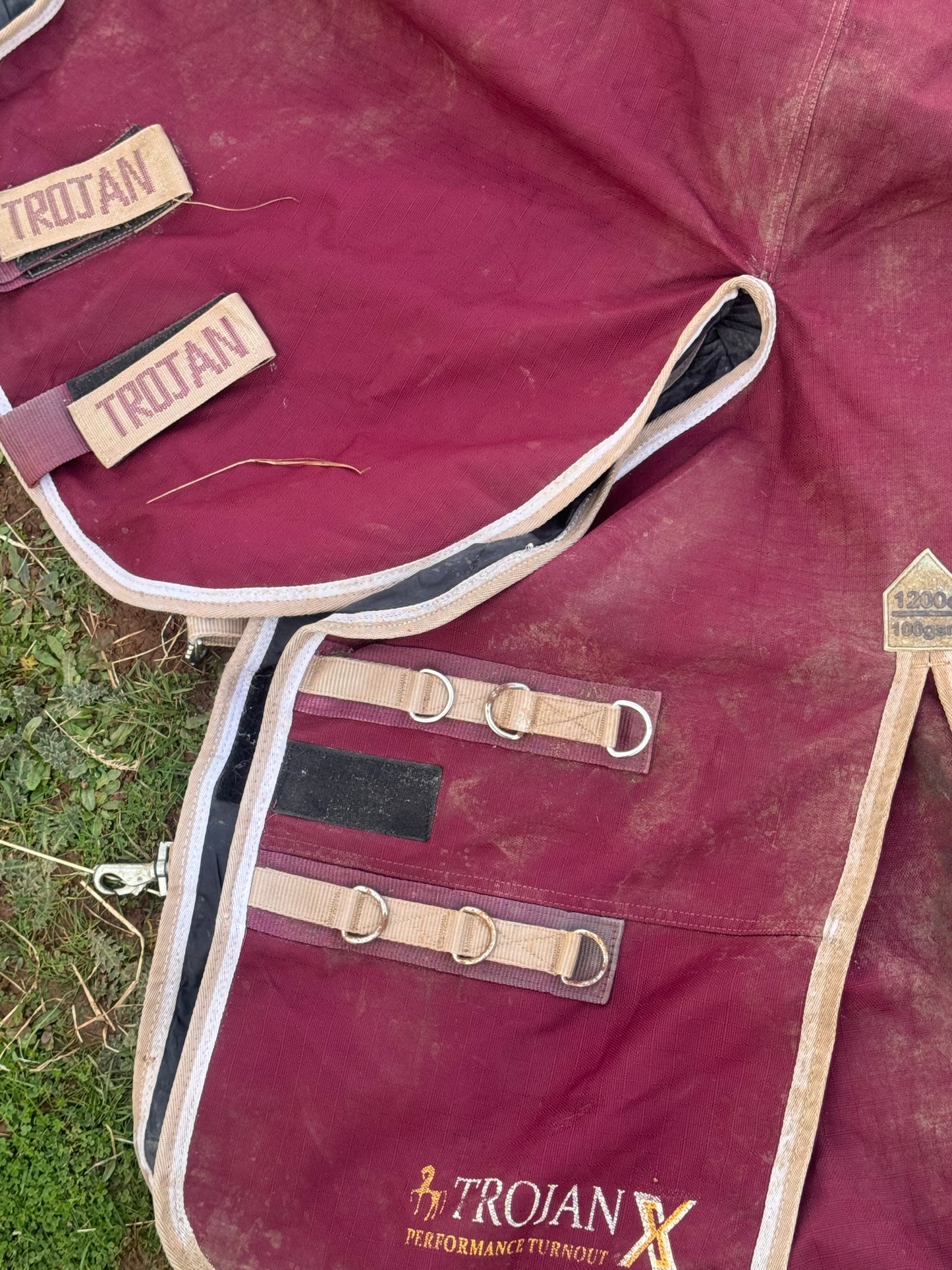 Gallop Trojan 100gm 6’0 Turnout Rug