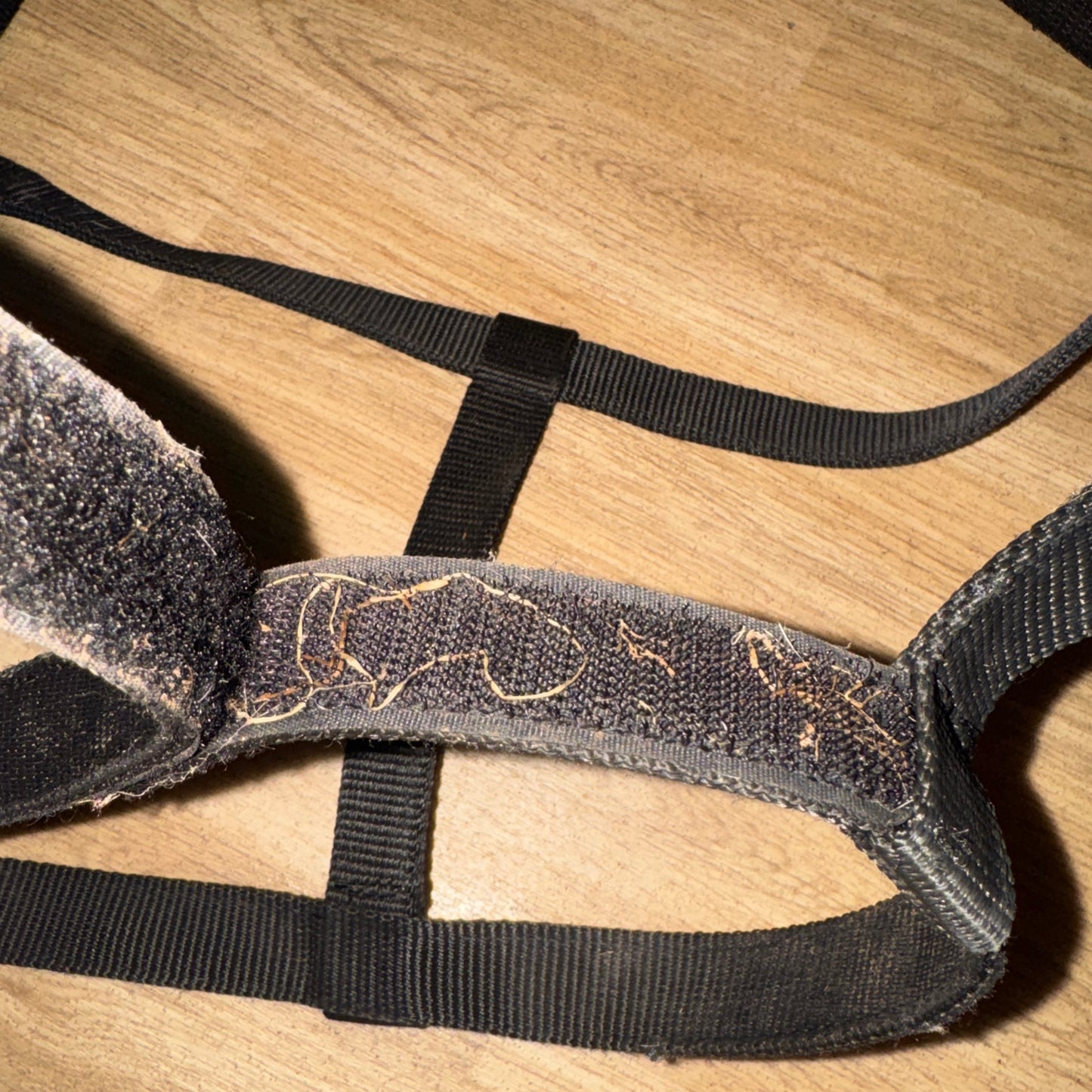 Rhinegold  Black Field Safety Headcollar Size Full Adjustable Breakaway #2