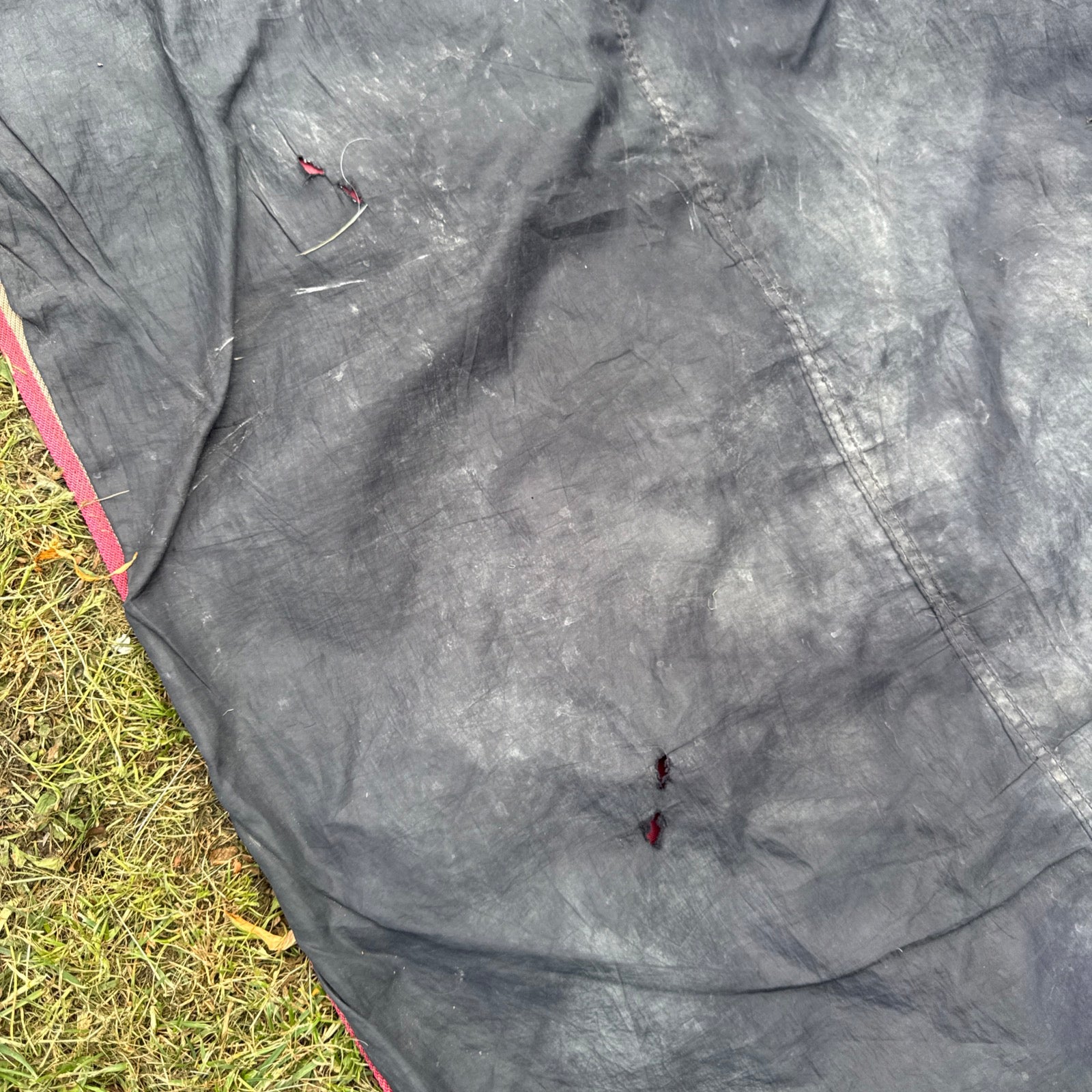 Shires Tempest 6’9 No Fill Turnout Combo Rug