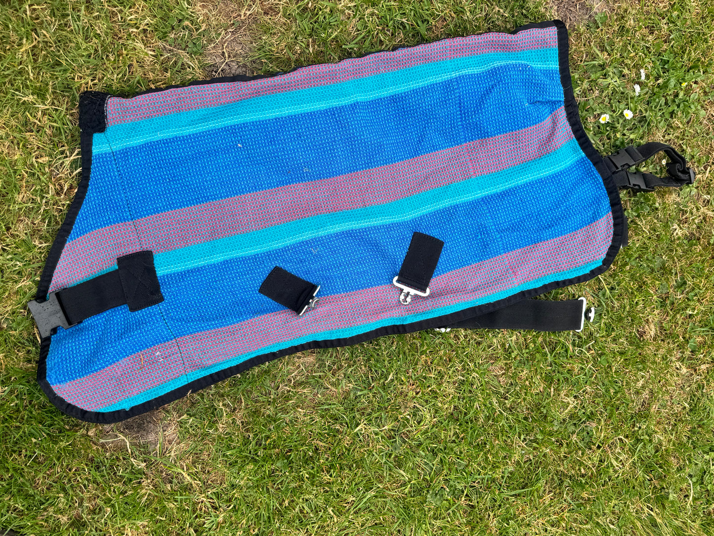 3’0 Waffle Rug Stable Cooler Travel Before Shows Miniature Shetland Pony Foal