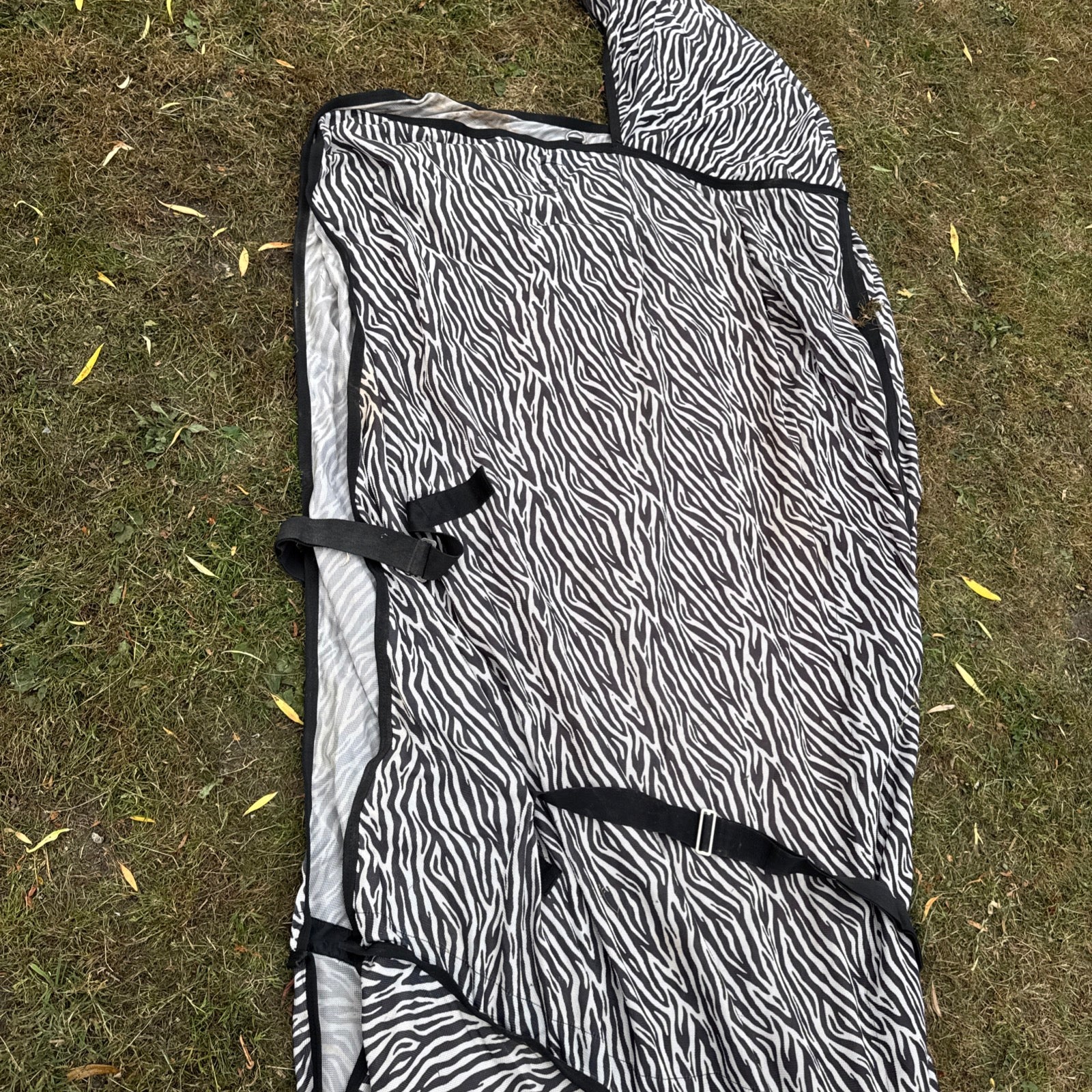 Big Horse Shop Epic 7’3 Broad Fit Fly Rug - Heavy Horse