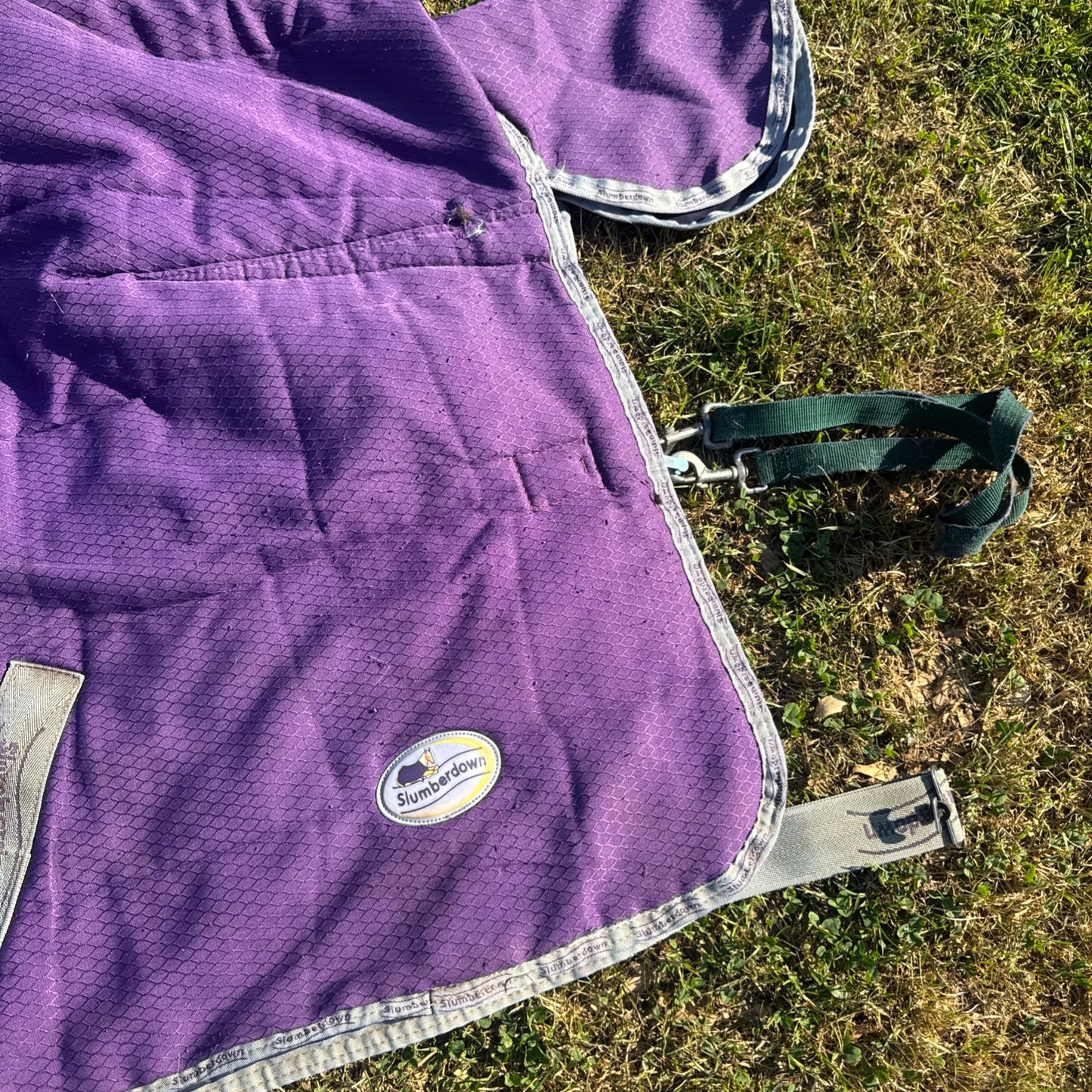 Slumberdown 300gm Purple 5’6 Stable Rug - Free Postage