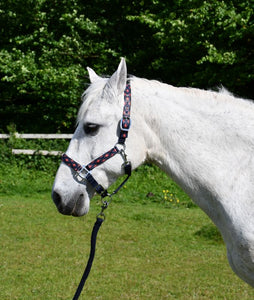 Rhinegold Padded Diamond Pattern Headcollar And Lead Rope Set