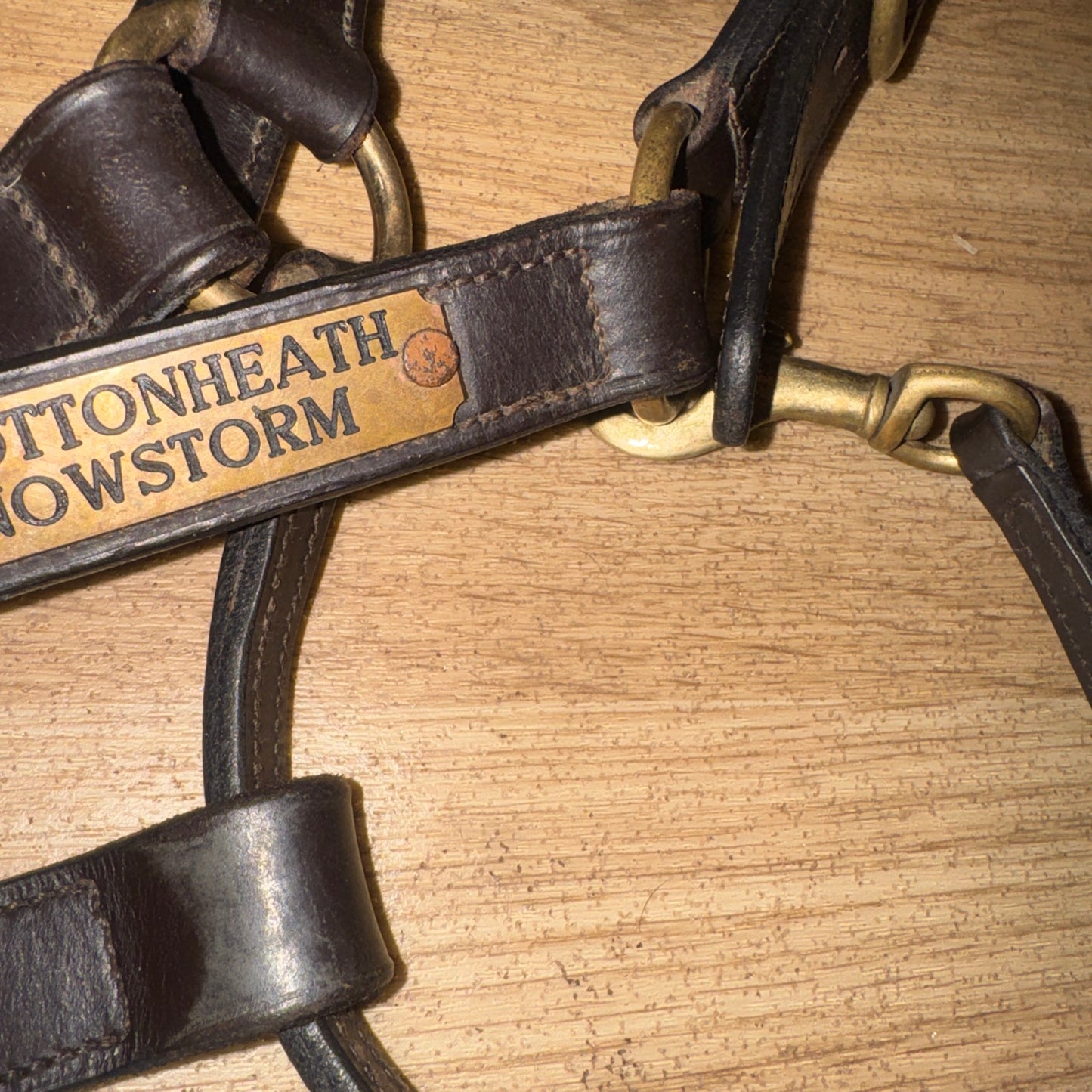 Havana English Leather Heavy Duty Cob Headcollar Brass Replaceable Nameplate