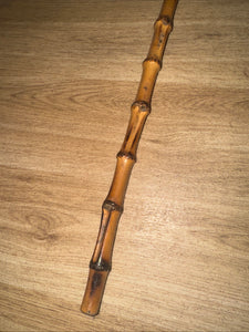 Bamboo Showing Cane 52cm
