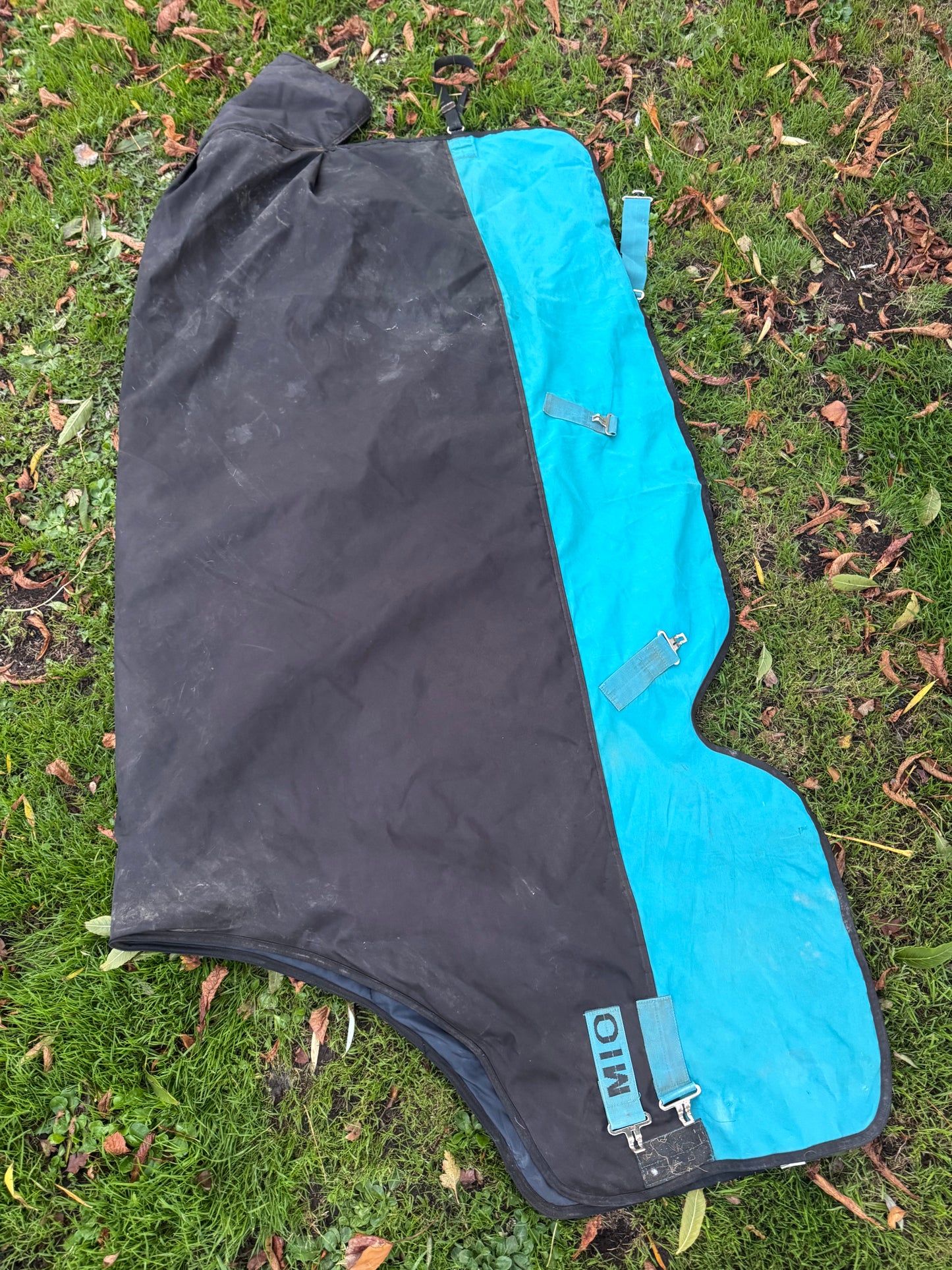 Amigo 6’3 200gm Turnout Rug