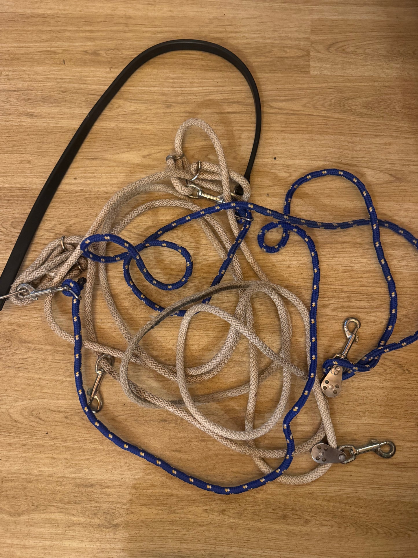 Genuine Passoa Training Aid | Second Hand Tack Horse Pony Lunging