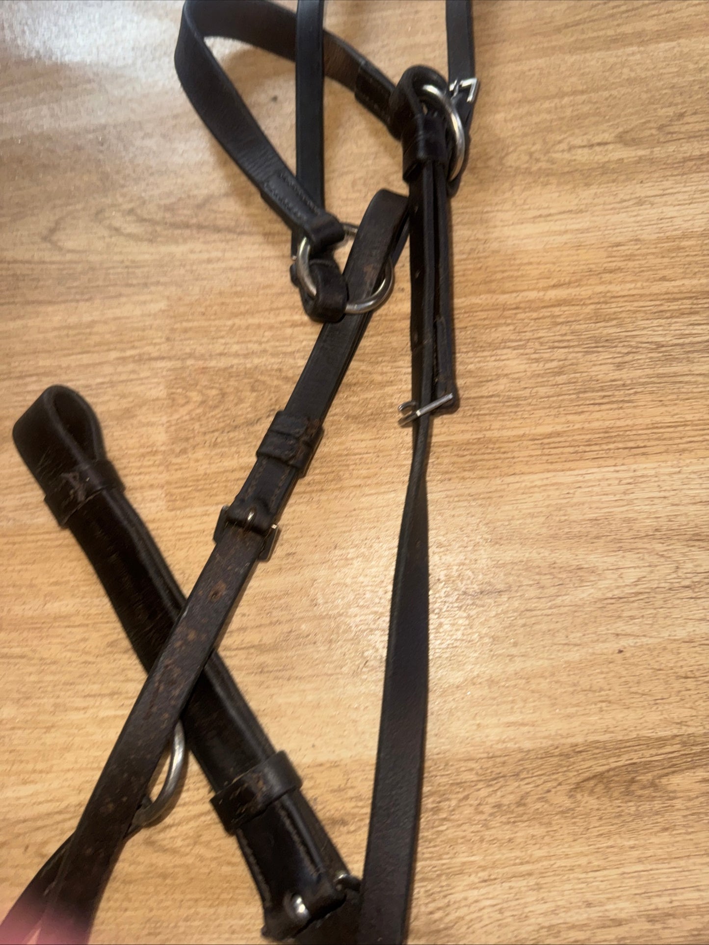 Sabrè Black Leather Size Full Breastplate | Second Hand Horse Tack #2