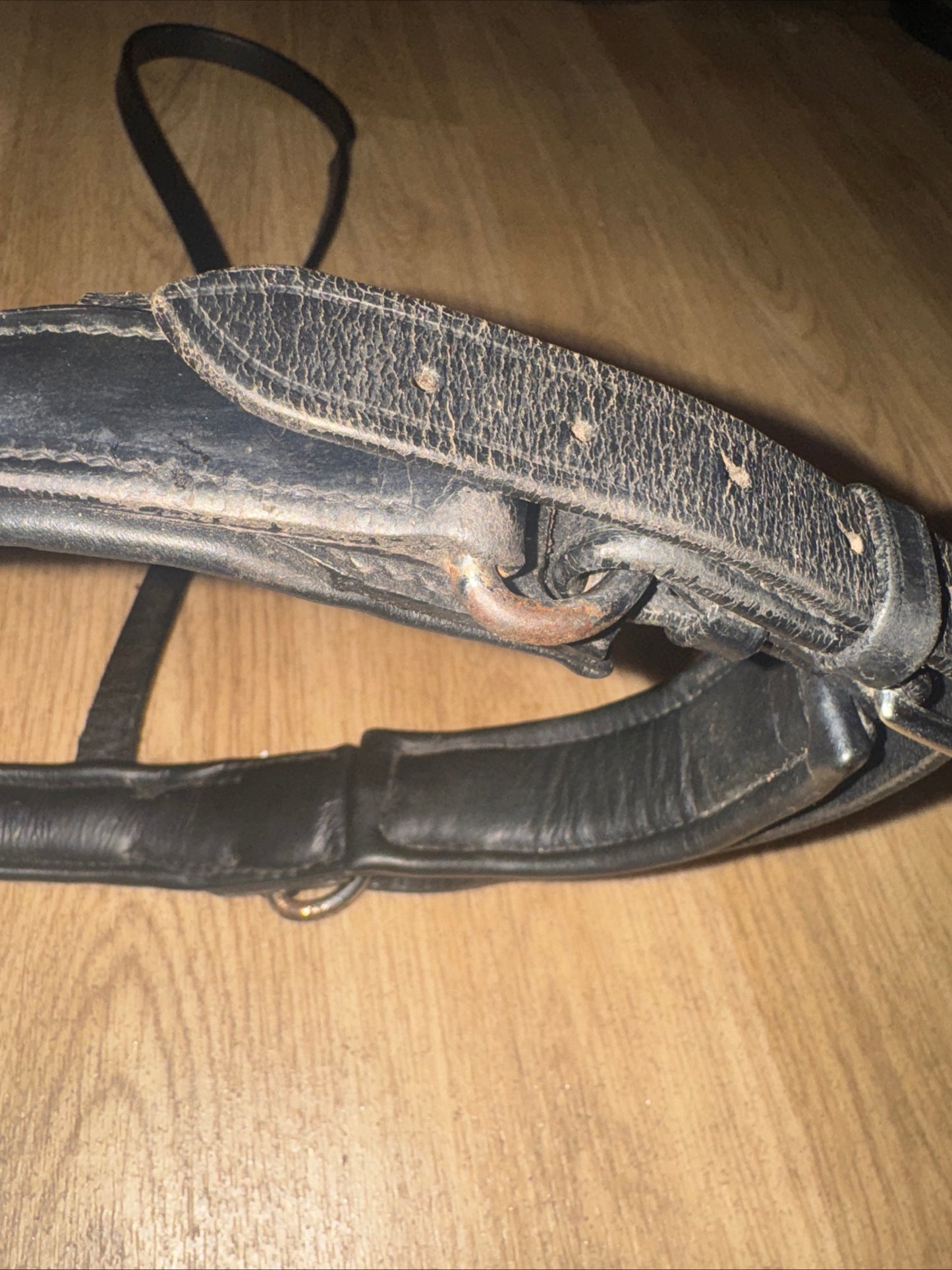 Black Cob Size Noseband #987