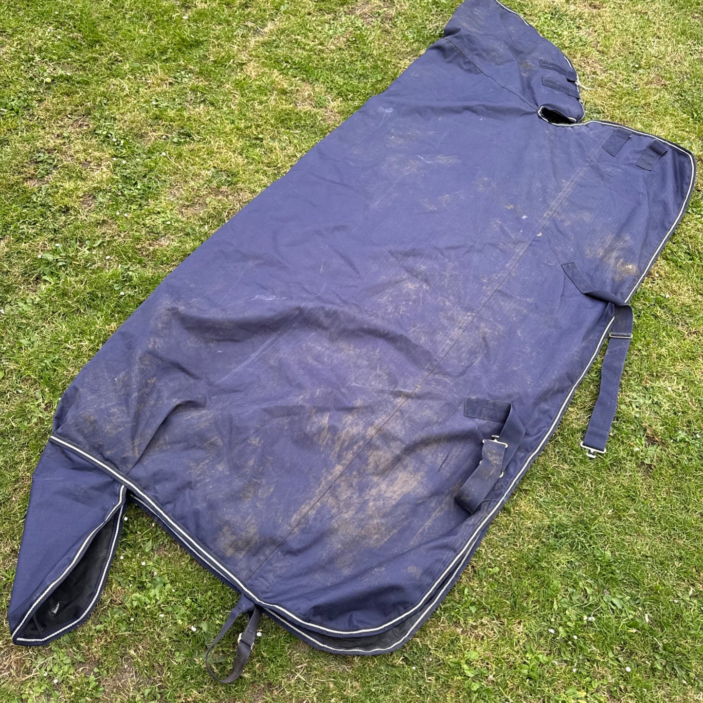 Saxon Size 6’3 200gm Turnout Combo Rug Second Hand Horse Tack