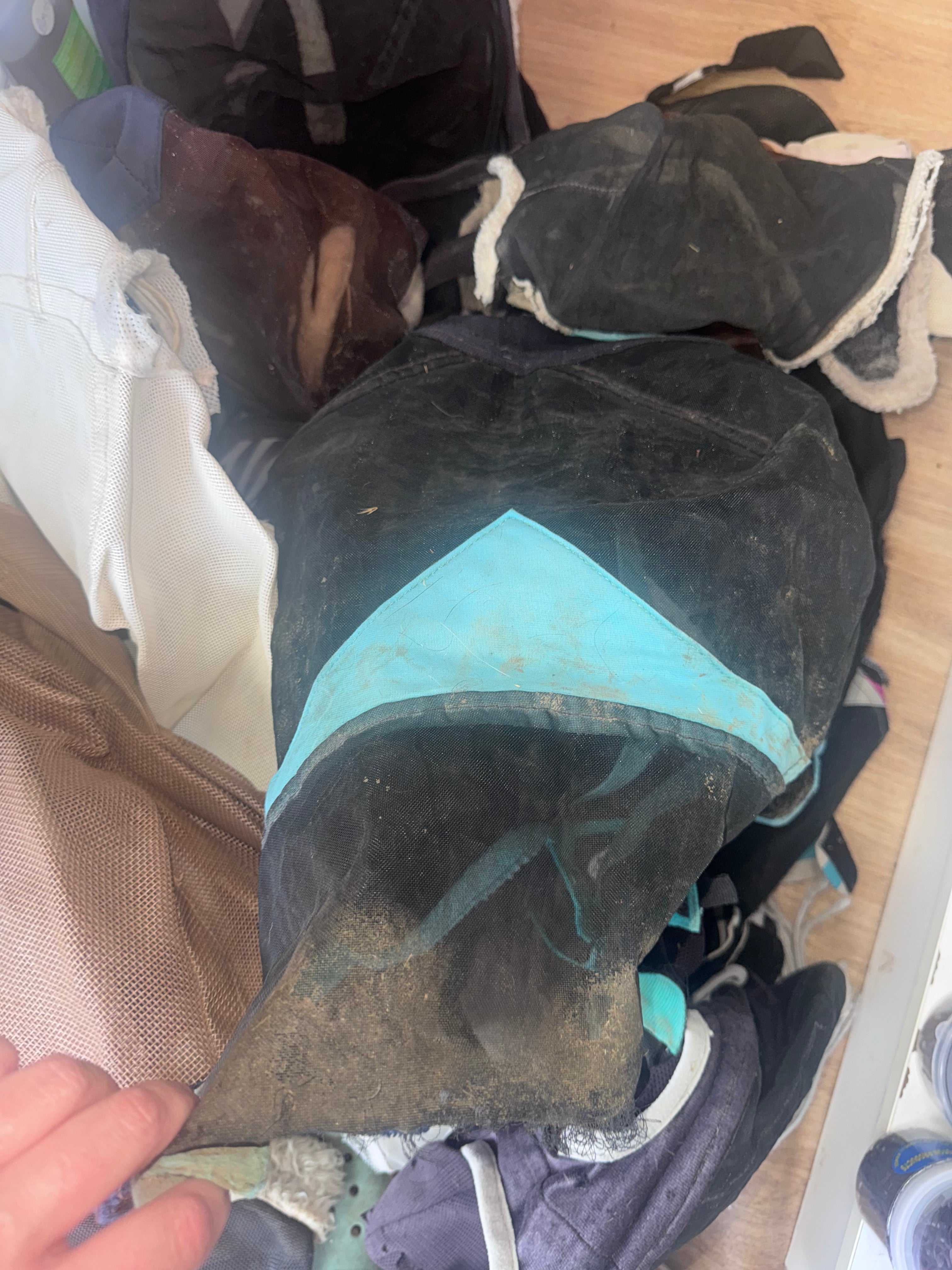 Huge Job Lot Of Fly Masks !! Various Sizes
