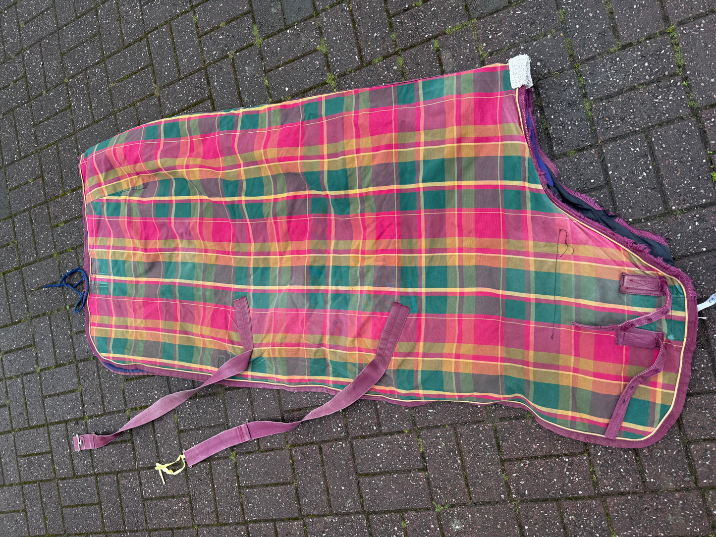 6’3 Mark todd 250gm Stable rug / Free Postage