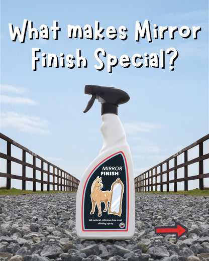 Mirror Finish Spray 750ml