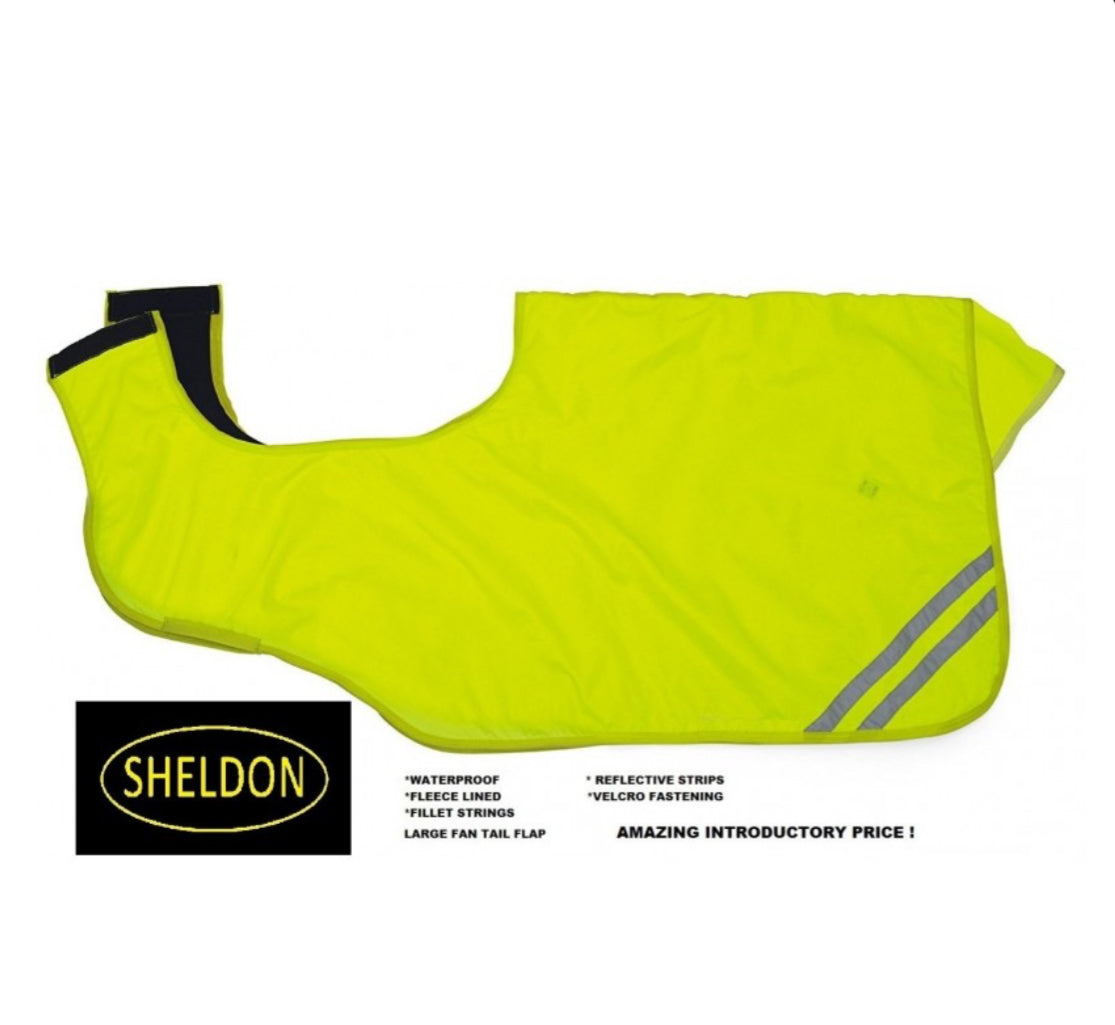 Sheldon Hi Viz Ride on Exercise Sheet (Waterproof)