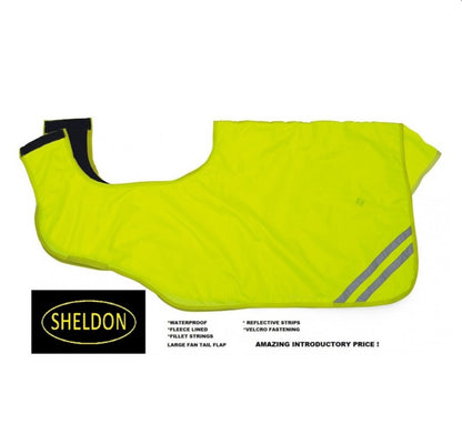 Sheldon Hi Viz Ride on Exercise Sheet (Waterproof)