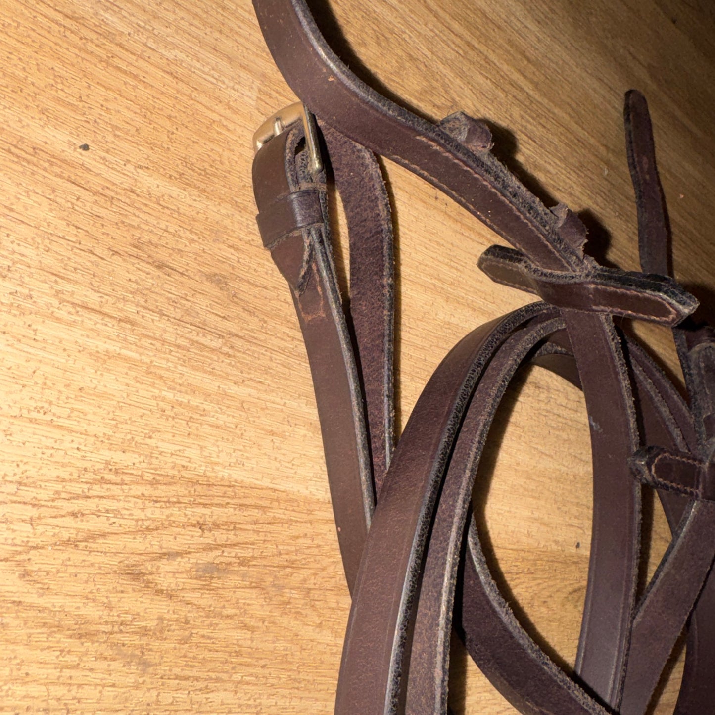 Brown Plain Leather Show Reins – Full Size – 54” #69