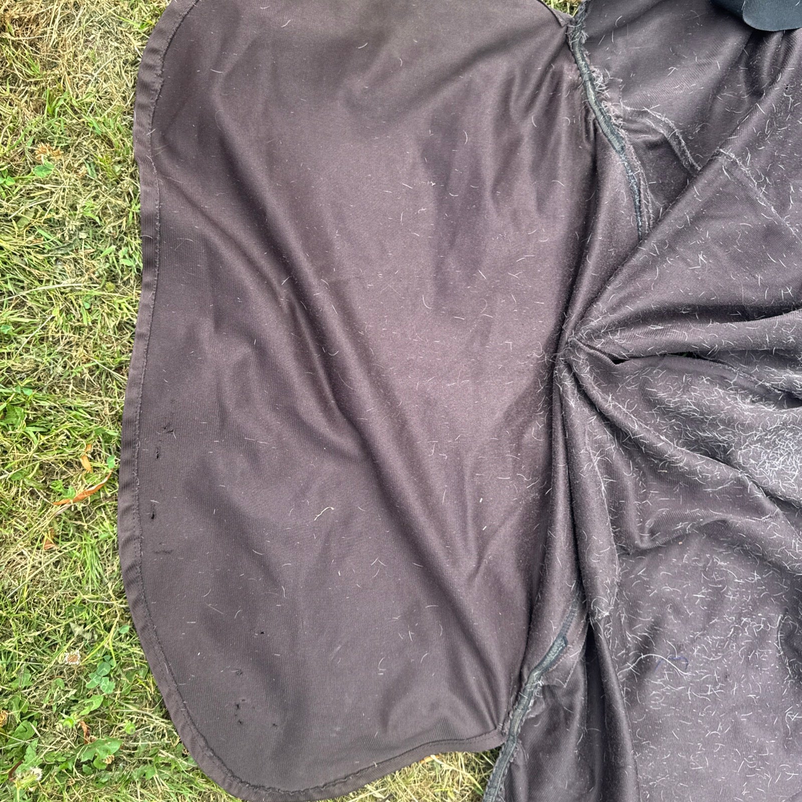Boett Sweetitch Rug Size 6 With Hood Face
