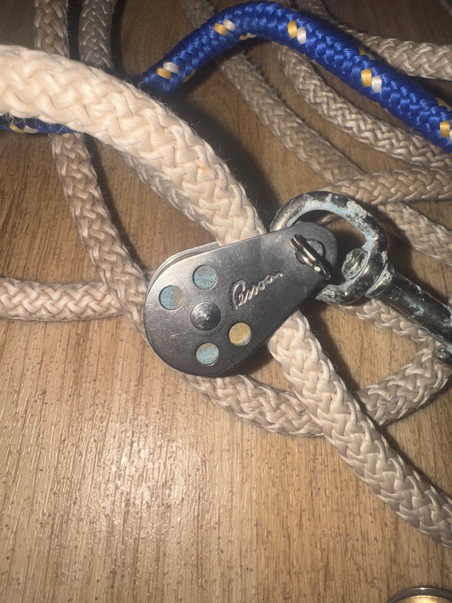 Genuine Passoa Training Aid | Second Hand Tack Horse Pony Lunging