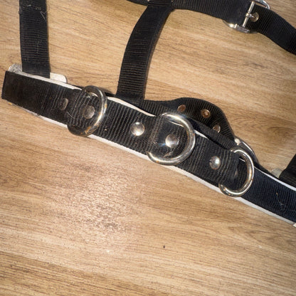 Kincade Size Full Lunging Cavason | Second Hand Horse Tack #33