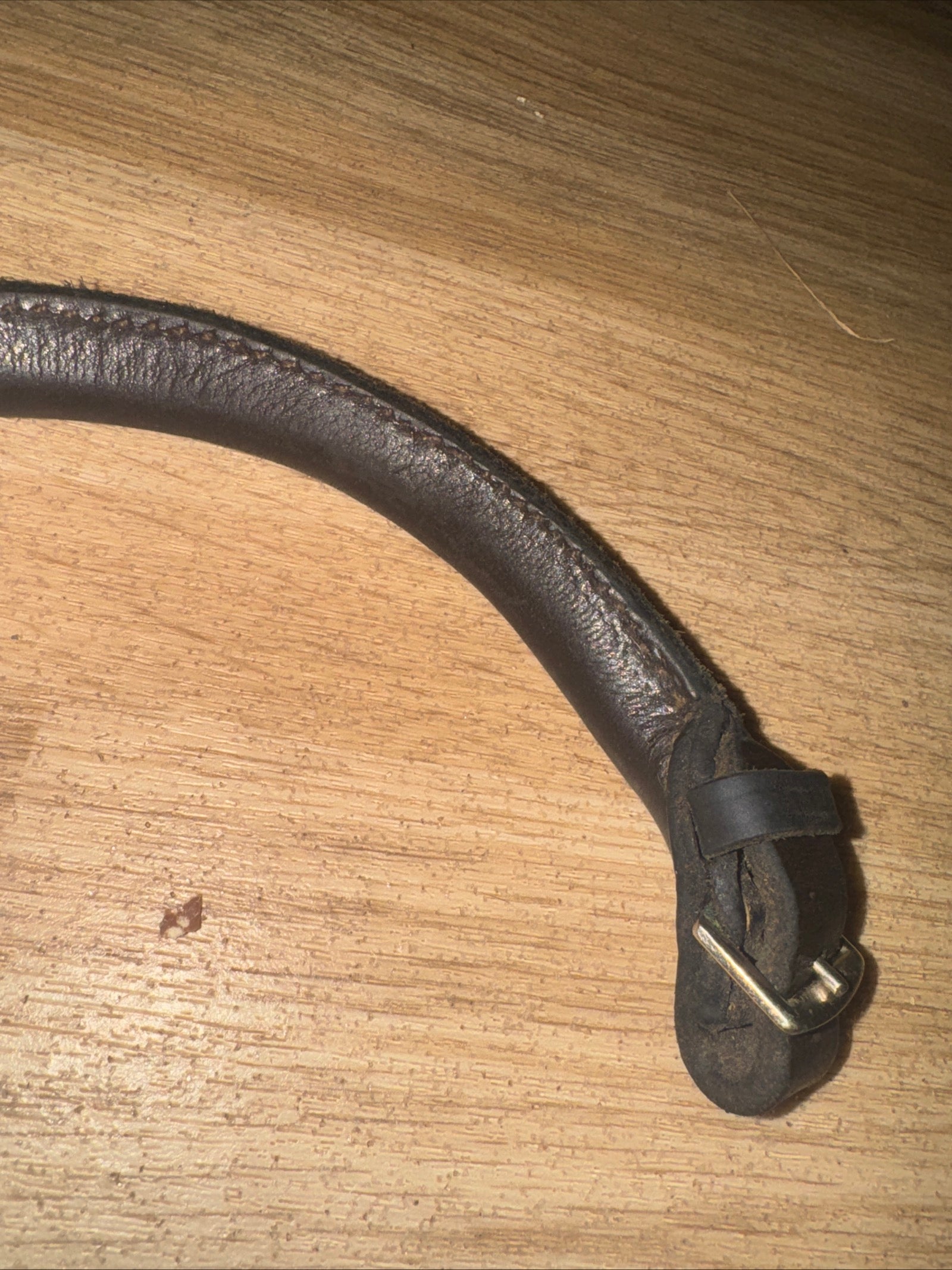 English Leather Saddle Strap - Toddler Child Anxious Learner Rider #111